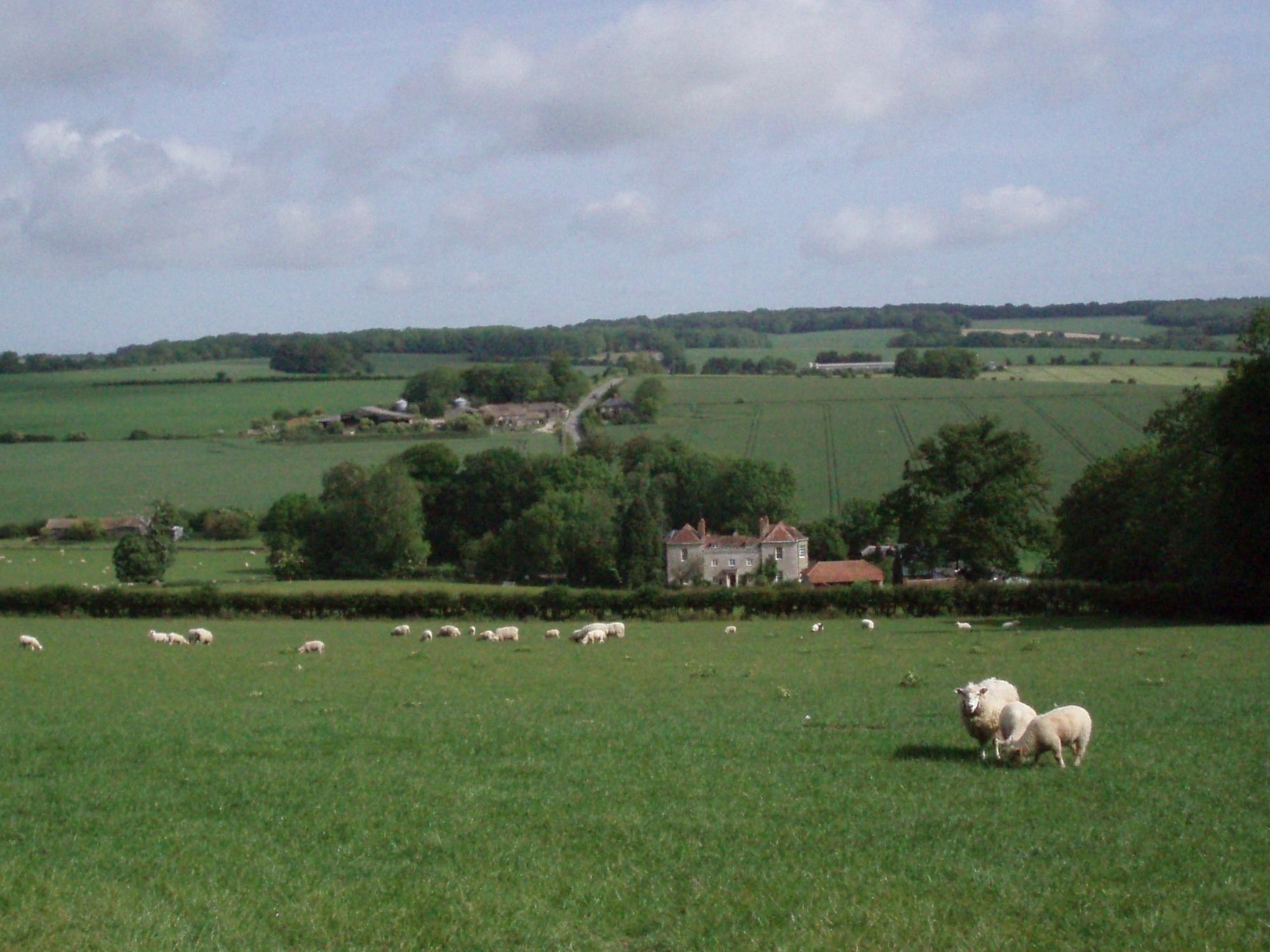 Marshwood Farm B&B And Shepherds Hut Dinton  Exterior foto